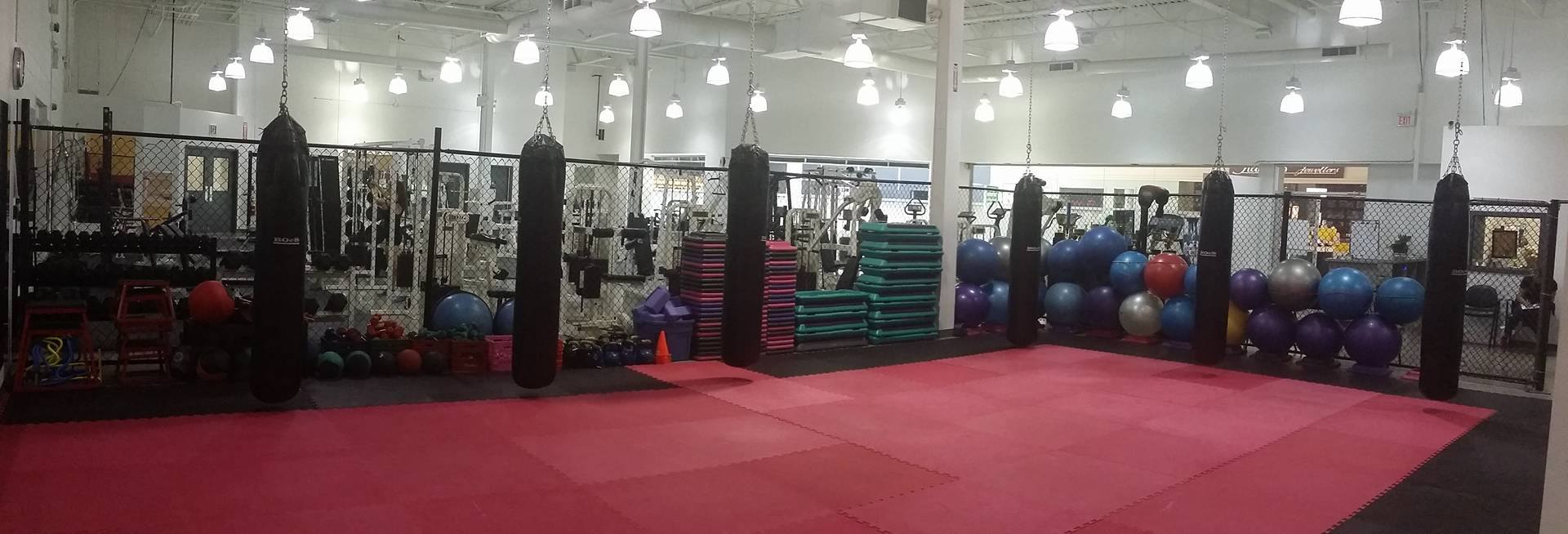 Modern Vision Mma Niagara S Choice For Mixed Martial Arts And Fitness